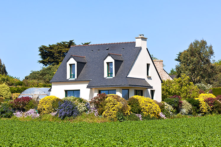 bilan du marché immobilier